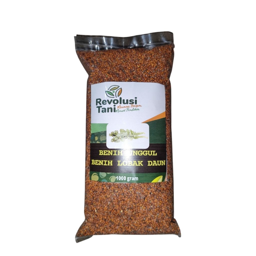 Benih Lobak Daun - 1 Kilogram