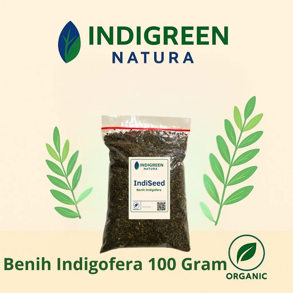 Jual Benih Indigofera Benih Tanaman Indigofera - IndiSeed 100 Gr ...