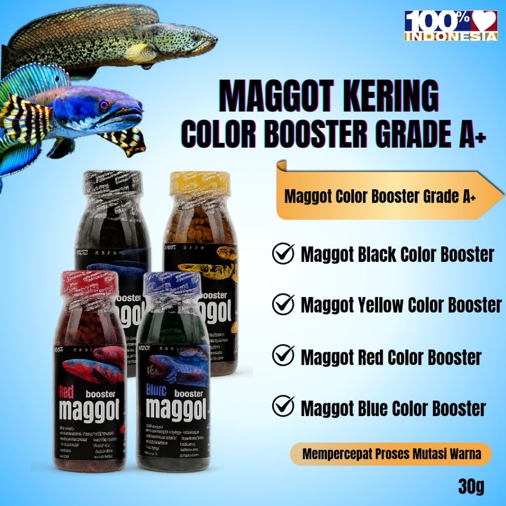 Jual MAGGOT COLOR BOOSTER PROGRESS WARNA IKAN CHANNA BARCA, MARU YS ...
