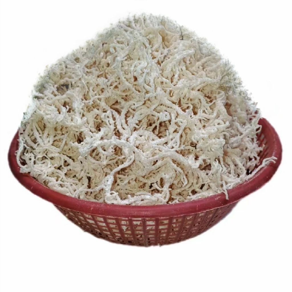 Jual Rumput Laut 1kg Kering Halal Tidak Asin Rasa Tawar Cocok Untuk ...