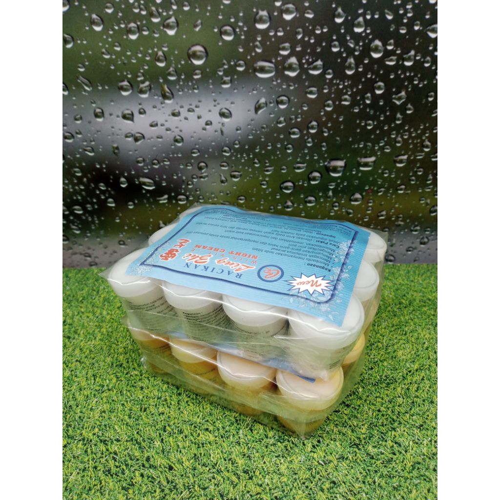 Jual (12 PCS) LZ Krim Racikan Asli Siang dan Malam | Shopee Indonesia