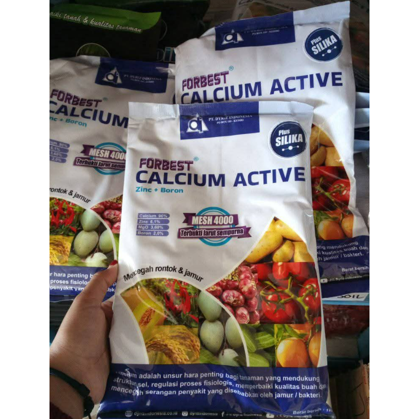 Jual Forbest 1 Kg Calcium Active Pupuk Forbes Kalsium Aktif Boron ...