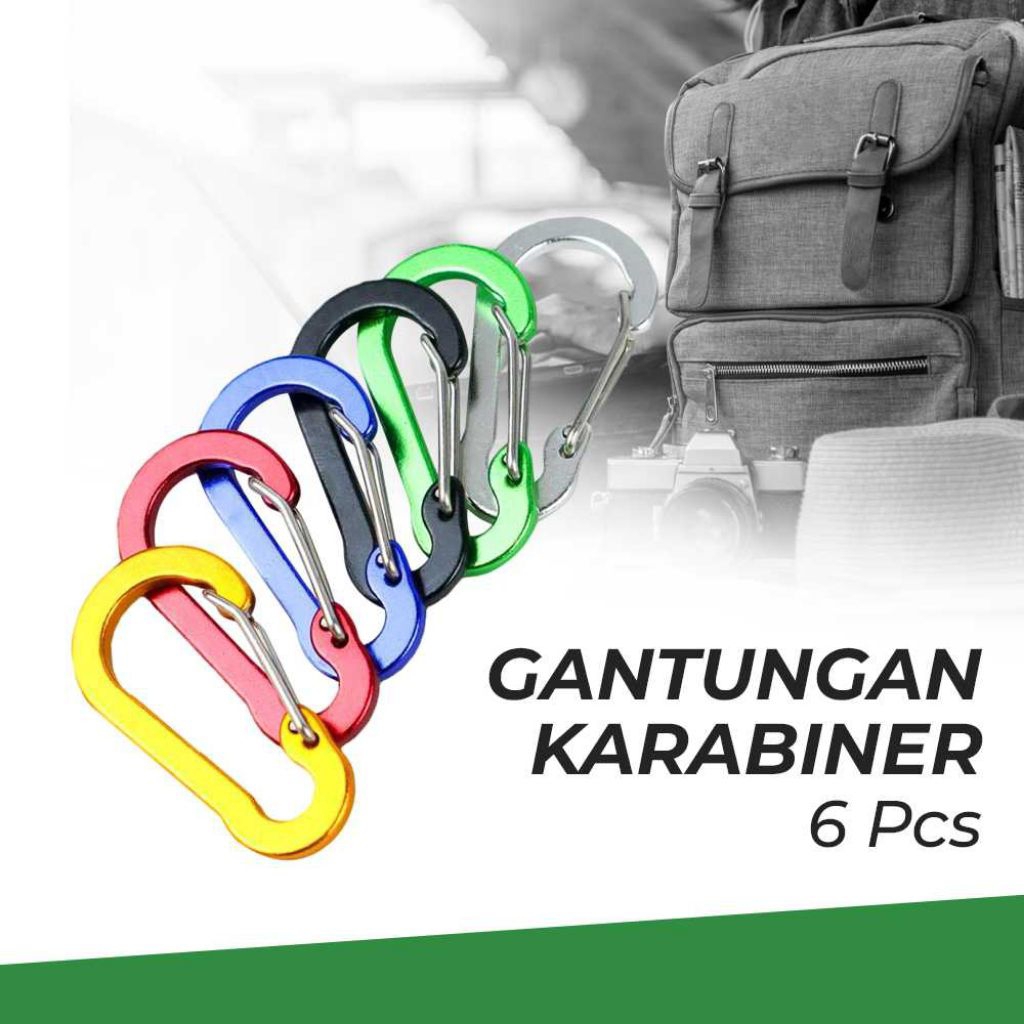 4 Pcs Spring Snap Clip Hooks D Rings Clip Hook Carabiner Clip Keychain Clip Clibing Carabiner
