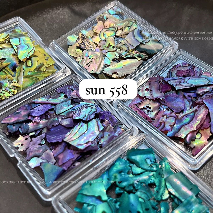 Jual Acc Nail Shell | Kuku Kukit Kerang Tipis, Lembaran Cangkang ...