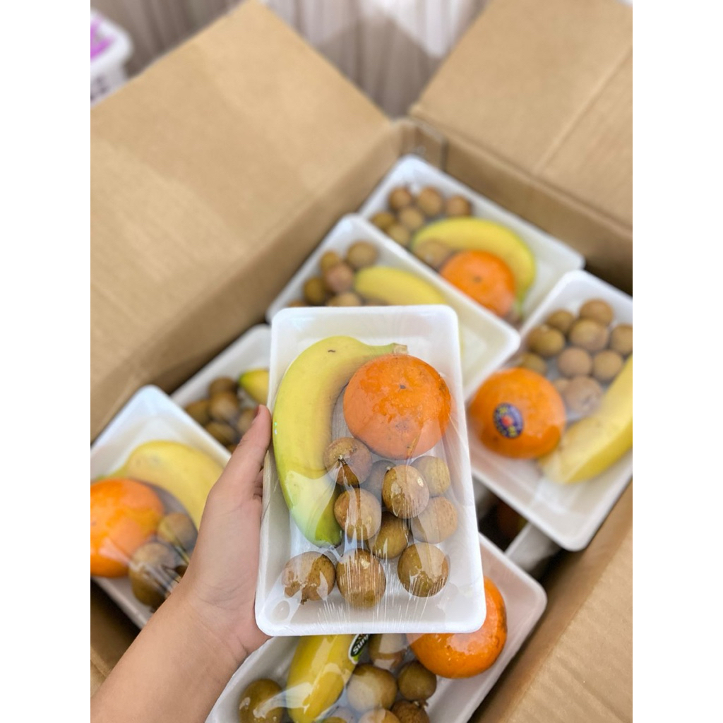 Jual hampers / parcel buah stayrofoam mini (1 paket) | Shopee Indonesia