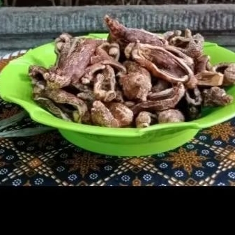 Jual teripang 250 gr | Shopee Indonesia