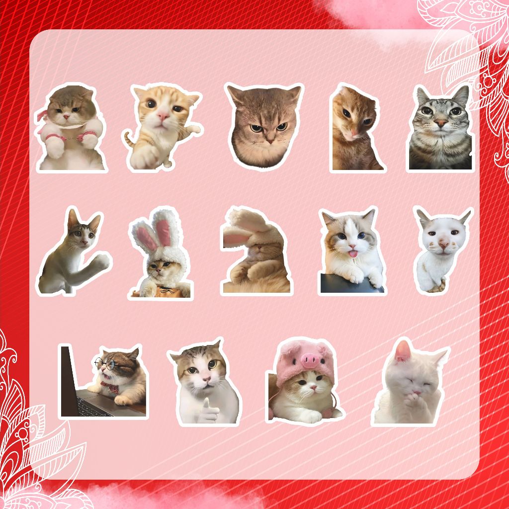 Jual STICKER PACK MEME KUCING V2 (50 PCS) | STIKER KARAKTER KUCING REAL ...