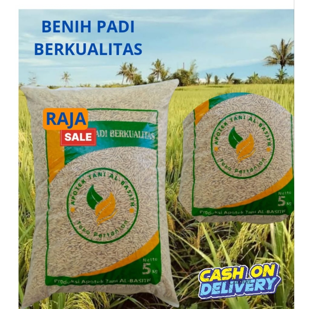Jual BENIH RAJA PADI KUALITAS PREMIUM ORIGINAL KEMASAN 5 KG | Shopee ...