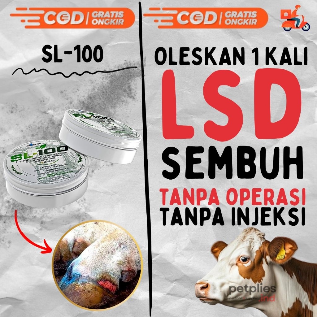 Jual SL-100 OBAT SALEP KUKU SAPI LSD SAPI AMPUH 100g (LUMPY SKIN ...