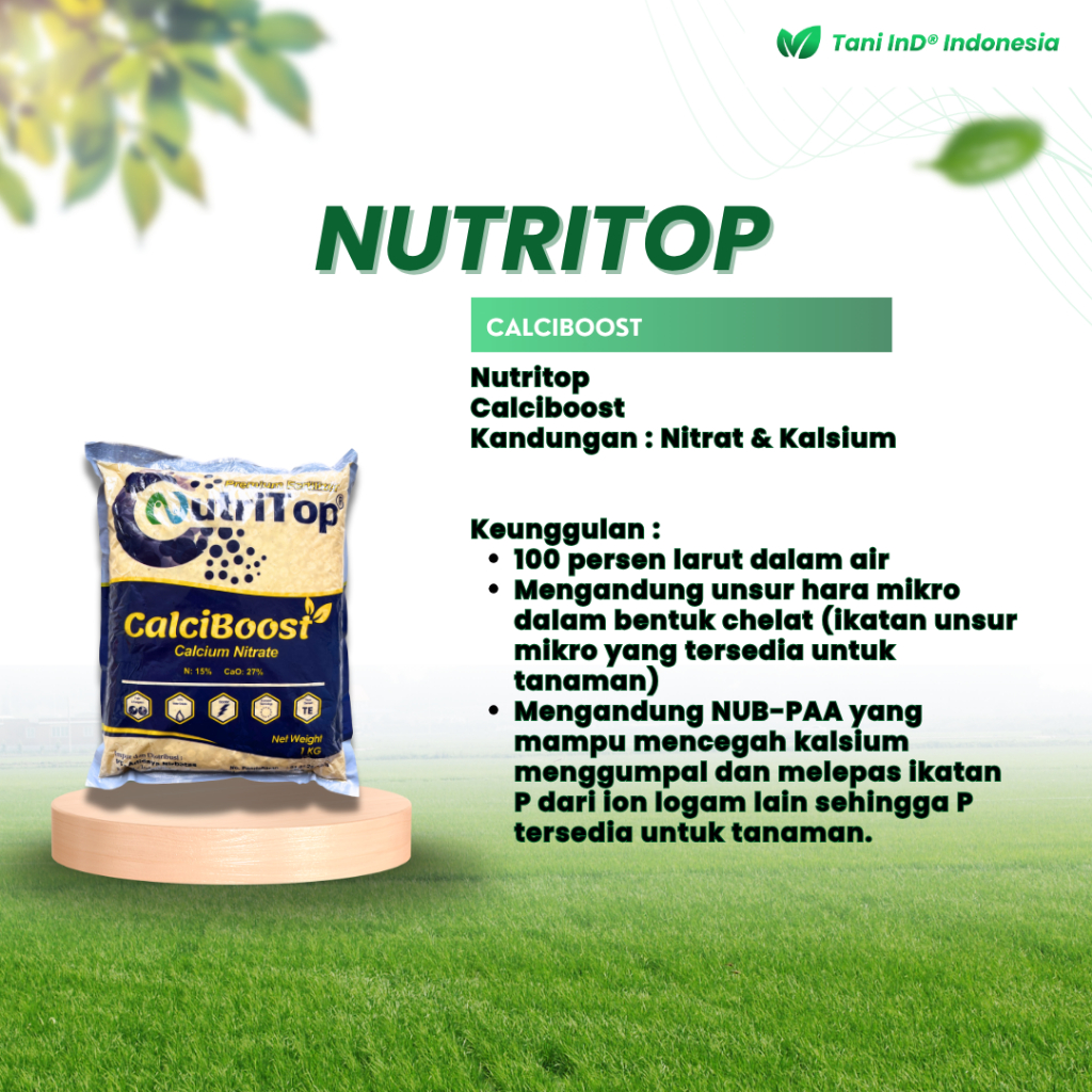 Jual Nutritop Calciboost Calsium Nitrae 1000 gr Memperbaiki kualitas ...
