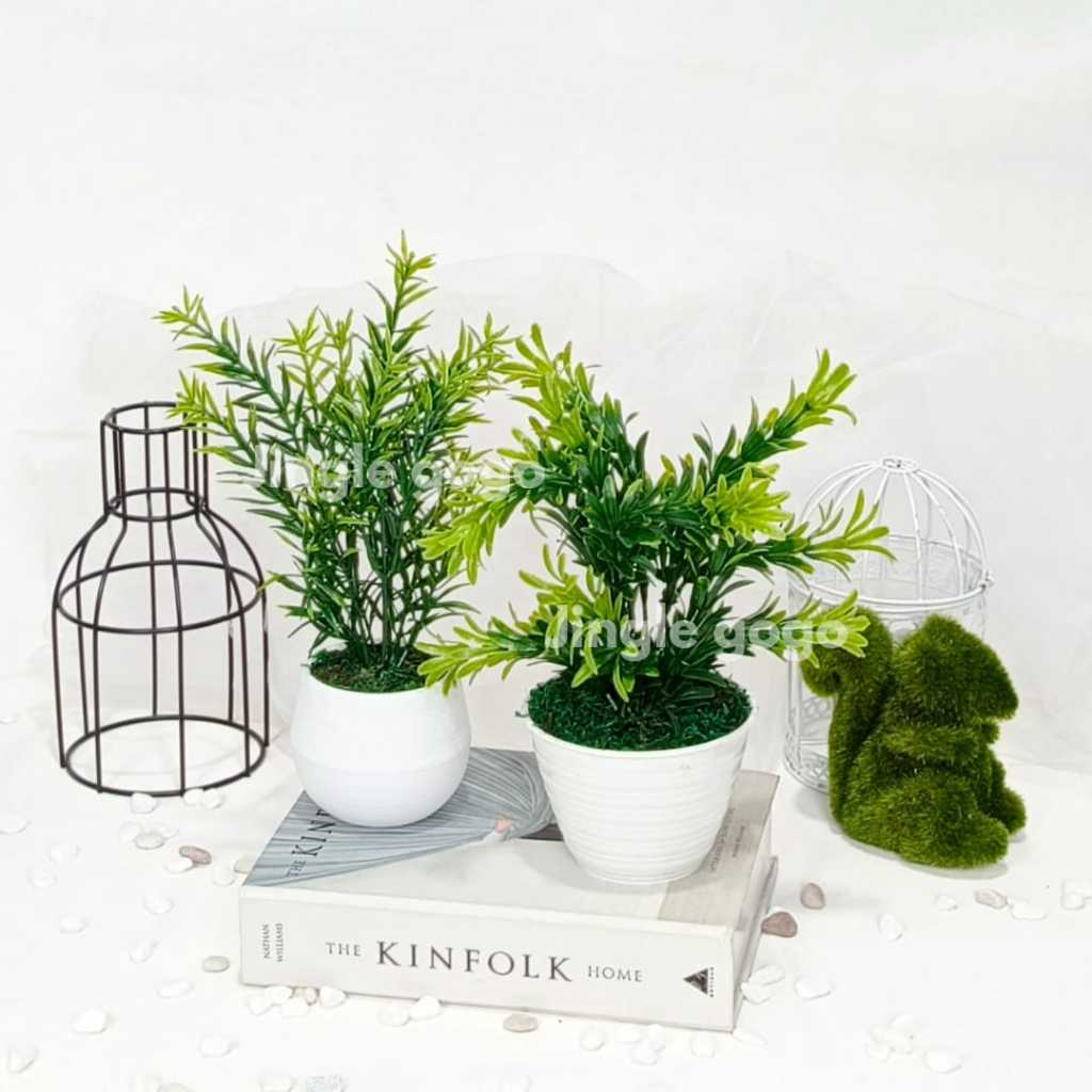 Jual Pot Mini Pakis Artificial Tanaman Hias Daun Cemara Pajangan Meja ...