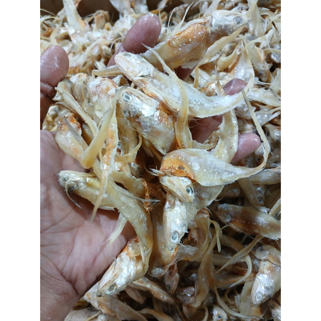 Jual IKAN ASIN BULU AYAM 500GRAM | Shopee Indonesia
