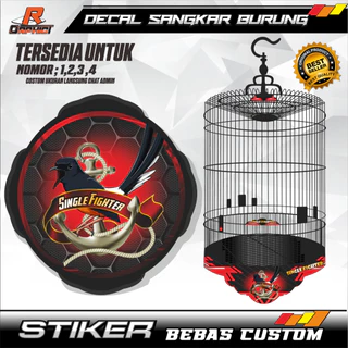 Tik kokrak uchlari fotosurati