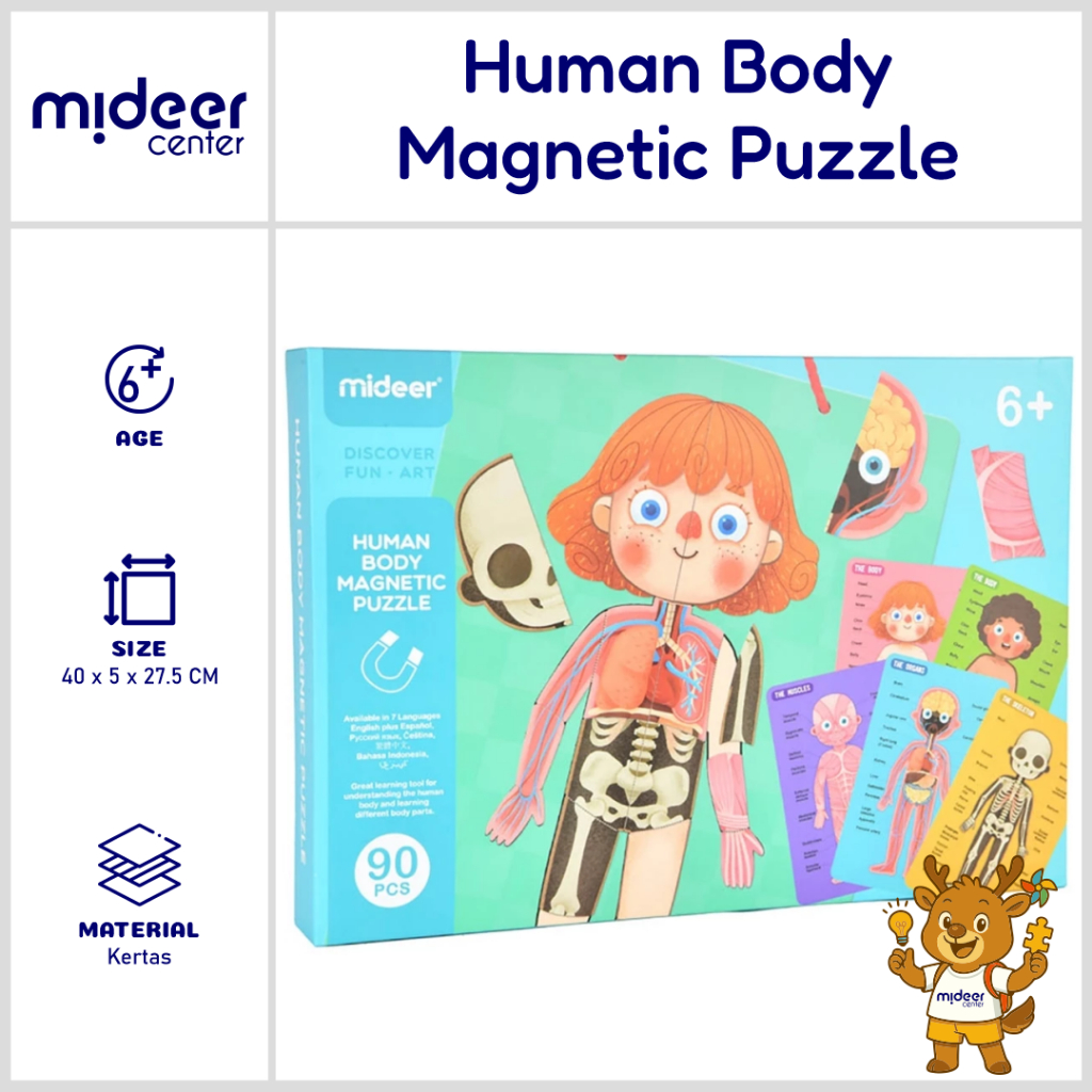 Jual Mideer Human Body Magnetic Puzzle Mideer Body Magnet | Shopee ...