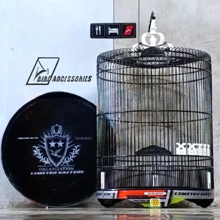 Eng qadimgi porno aktyorlar