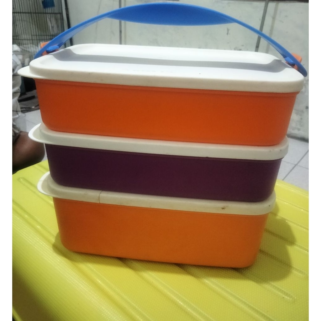 Jual Tupperware CTG 1 tutup sobek dikit aman | Shopee Indonesia
