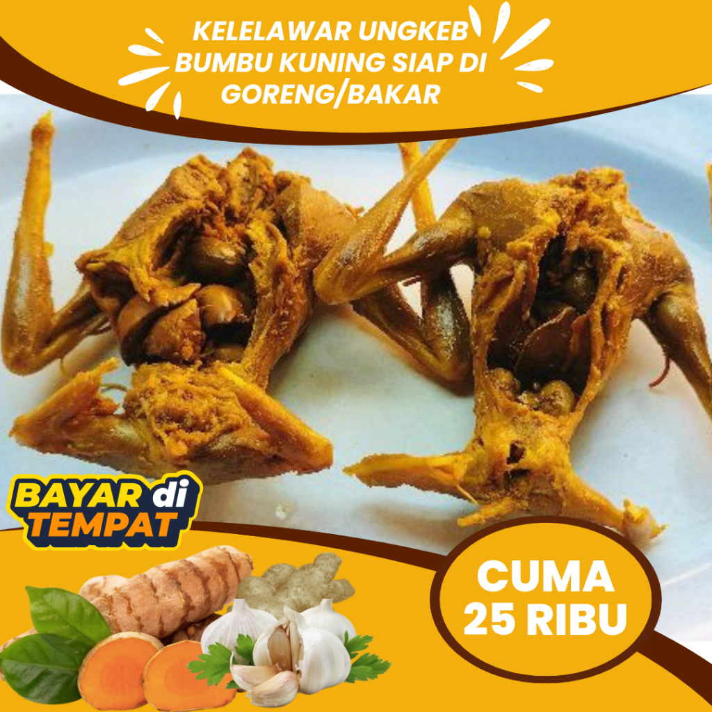 Jual OBAT ASMA DAGING KELELAWAR KELAPA ATAU CODOT UNGKEB SIAP GORENG ...