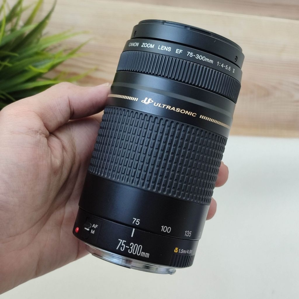 Jual Lensa Tele Canon 75-300mm 75-300 not 70-300 | Shopee Indonesia