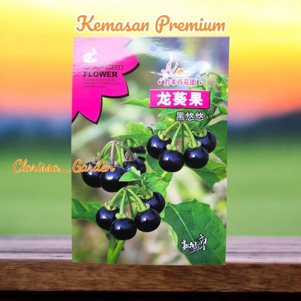 Jual (KEMASAN PREMIUM) BIJI | BENIH TANAMAN LEUNCA | RANTI (isi -+500 ...