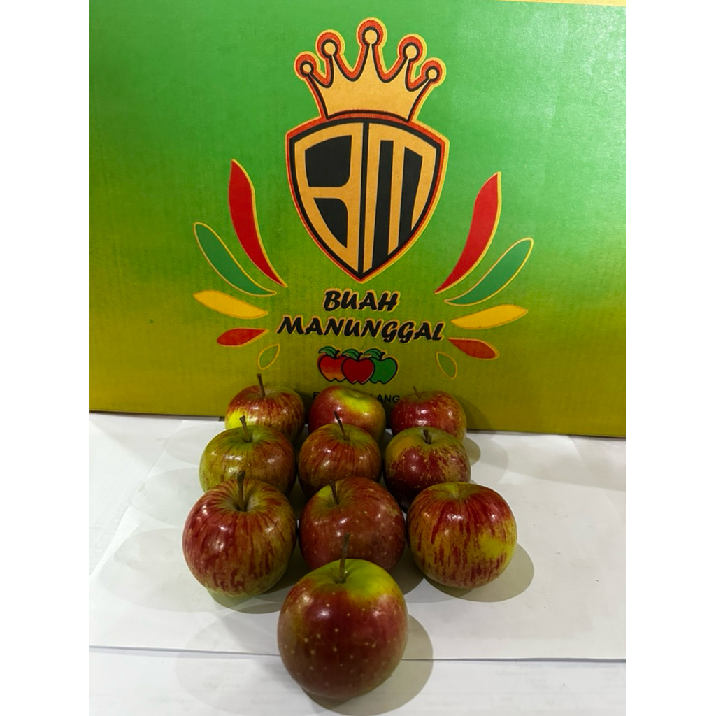 Jual Apel Malang Rome Beauty Besar ukuran 8-11 buah | Shopee Indonesia
