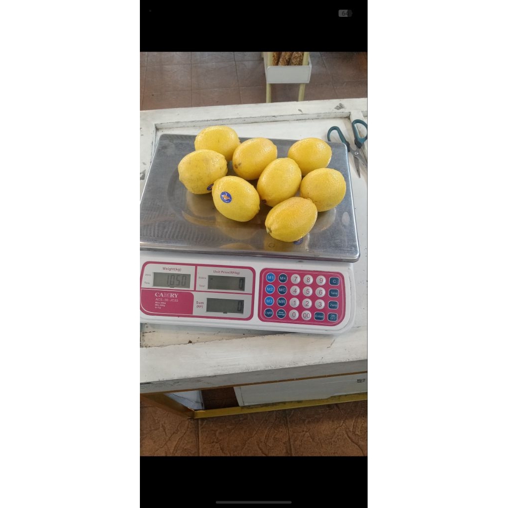 Jual Lemon Import (1 pcs) | Shopee Indonesia