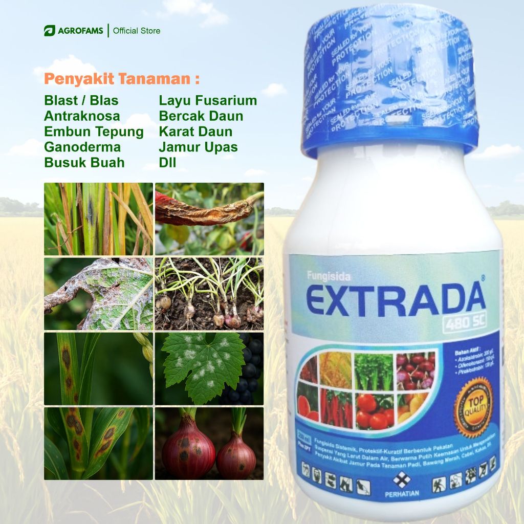 Jual EXTRADA 480 SC 250ML – Azoksistrobin Difenokonazol Piraklostrobin ...