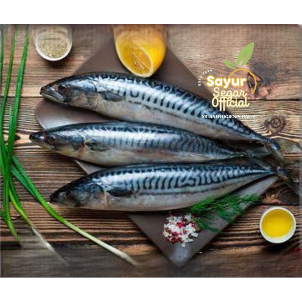 Jual Ikan Sarden Segar Terlengkap & Harga Terbaru Juli 2026 | Shopee ...
