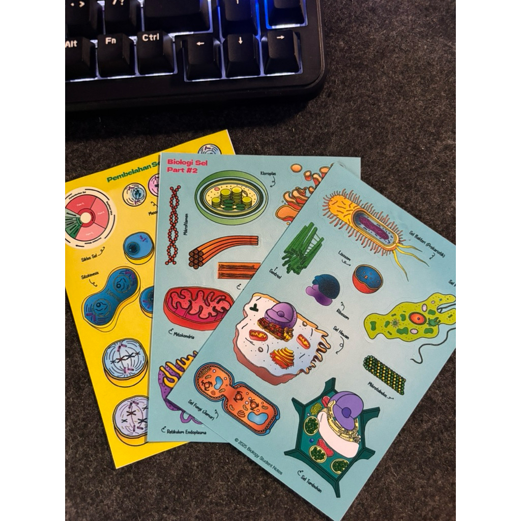 Jual Biology Sticker Notes by Biology Student Notes | Shopee Indonesia