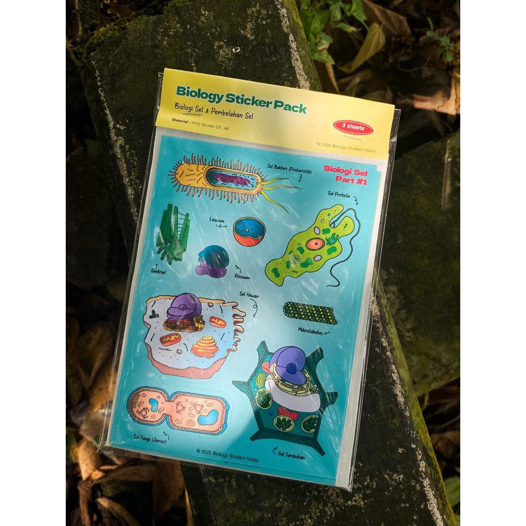 Jual Biology Sticker Notes by Biology Student Notes | Shopee Indonesia
