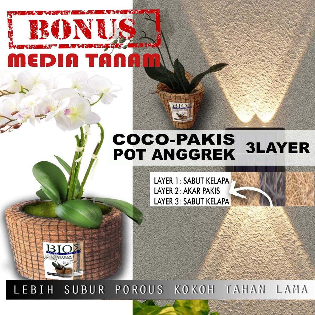 Jual Pot anggrek cocopakis sabut kelapa 3 layer mix pakis berbagai ...