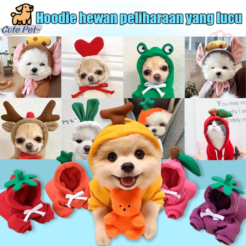 Jual Baju kucing Baju anjing Hoodie baju kucing baju anjing pet Fruit