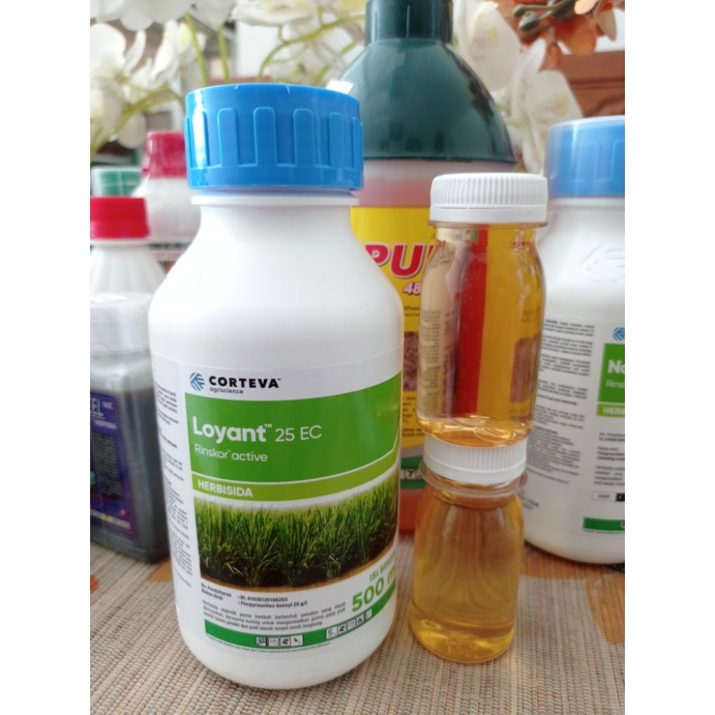 Jual Loyant 25 ec 500 ml | Shopee Indonesia