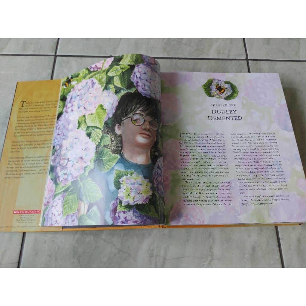 Jual harry potter and the order of the phoenix - jim kay illustrated ...