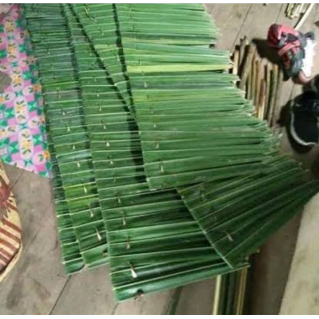 Jual Dahon atap rumbia tradisional isi 5,isi 10,isi 25 lembar | Shopee ...