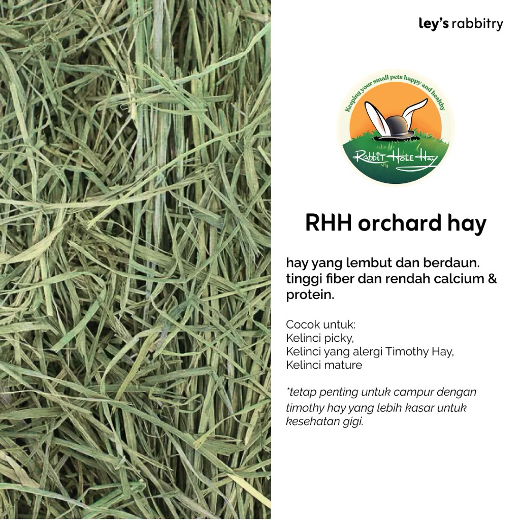 Jual RHH Orchard Hay 500gr 1kg (Rabbit Hole Hay) | Shopee Indonesia