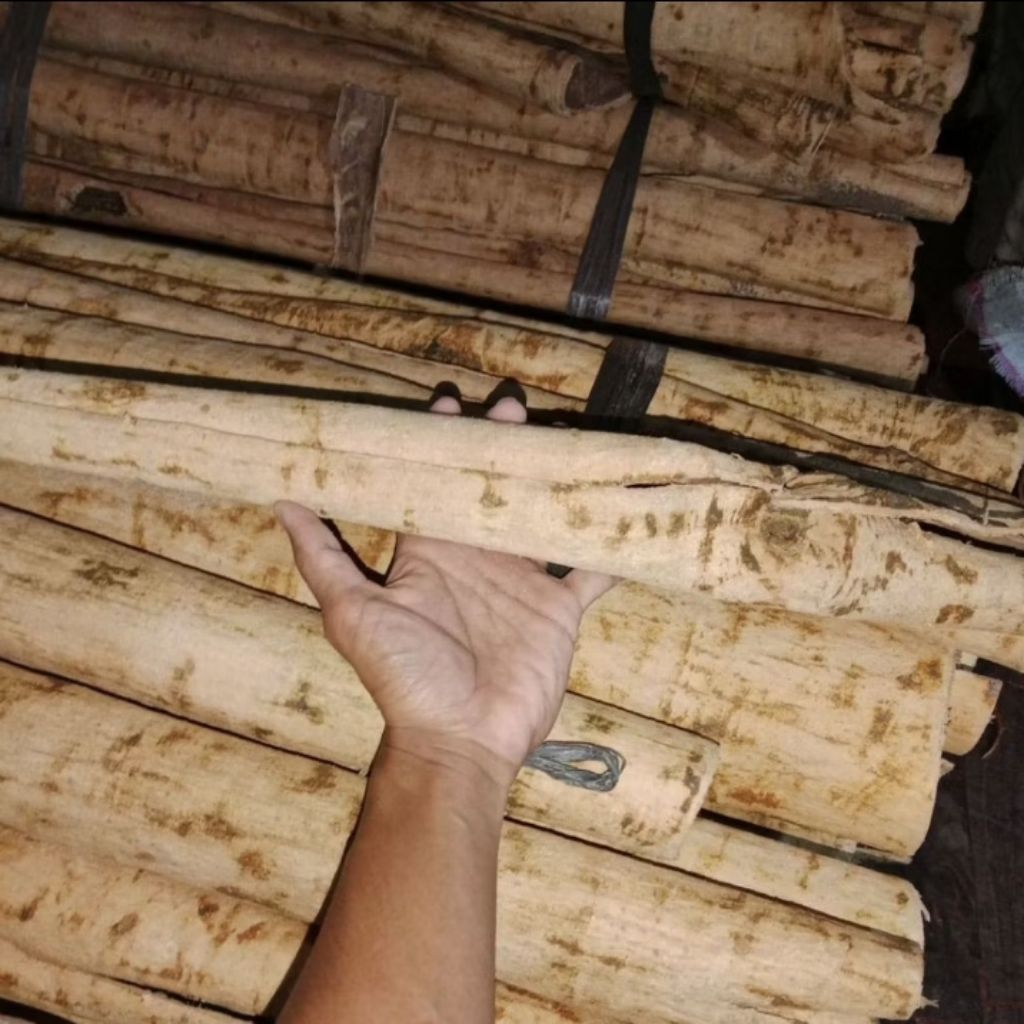 Jual Kayu Pule Terlengkap & Harga Terbaru Juni 2026 | Shopee Indonesia