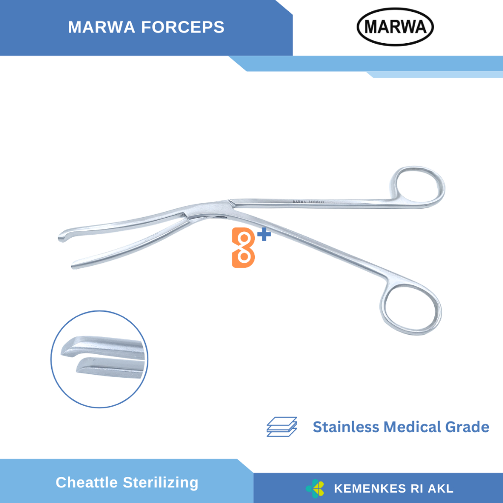 Jual Cheattle Sterilizing Forcep / Cheatle Cheatel | Shopee Indonesia