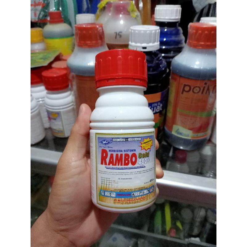 Jual RAMBO HERBISIDA SISTEMIK RAMBO GOLD 480SL isi 250ml | Shopee Indonesia