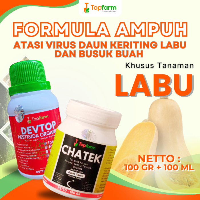 Jual Pestisida Topfarm / Obat Hama Labu Madu / Obat Hama Tanaman Labu ...