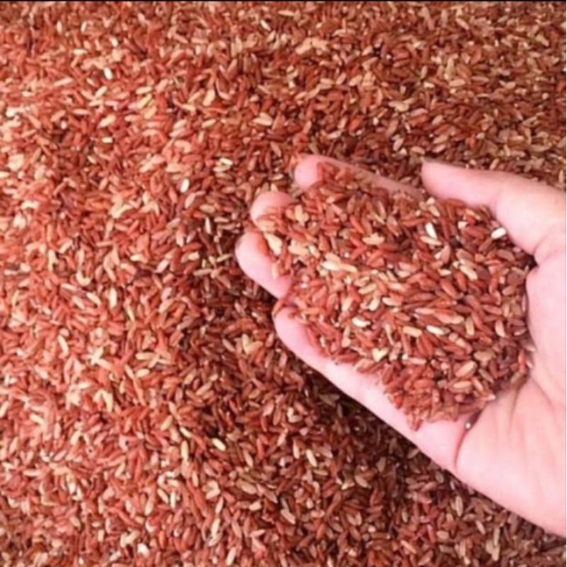 Jual BERAS MERAH 1KG PECAH KULIT ORGANIK 1KG BERAS DIABETES PAKAN ...