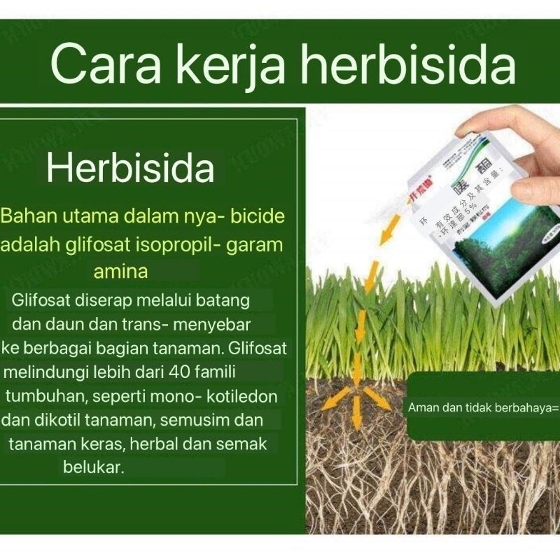 Produk