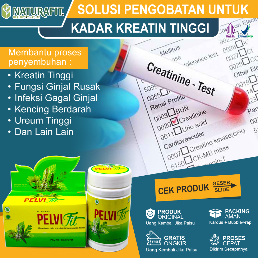 Jual Obat Kreatinin Tinggi, Obat Penurun Kreatin Paling Ampuh, Gangguan