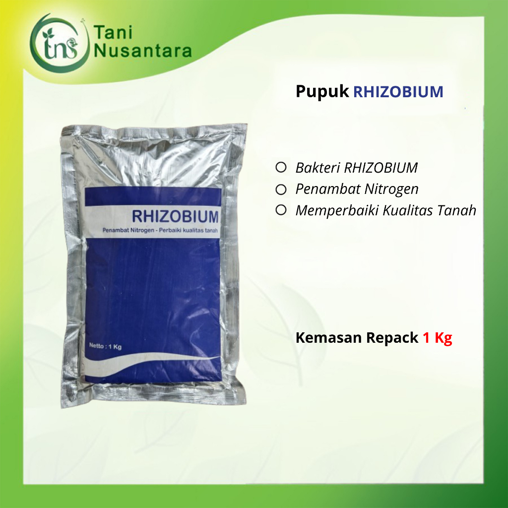 Jual Rhizobium Pupuk Organik Penambat Nitrogen Perbaiki Kualitas dan ...