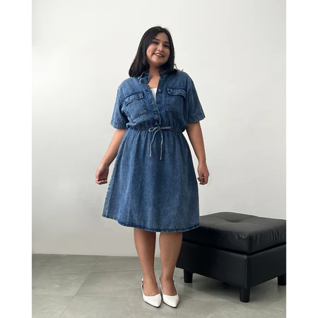 Denim Collar Dress
