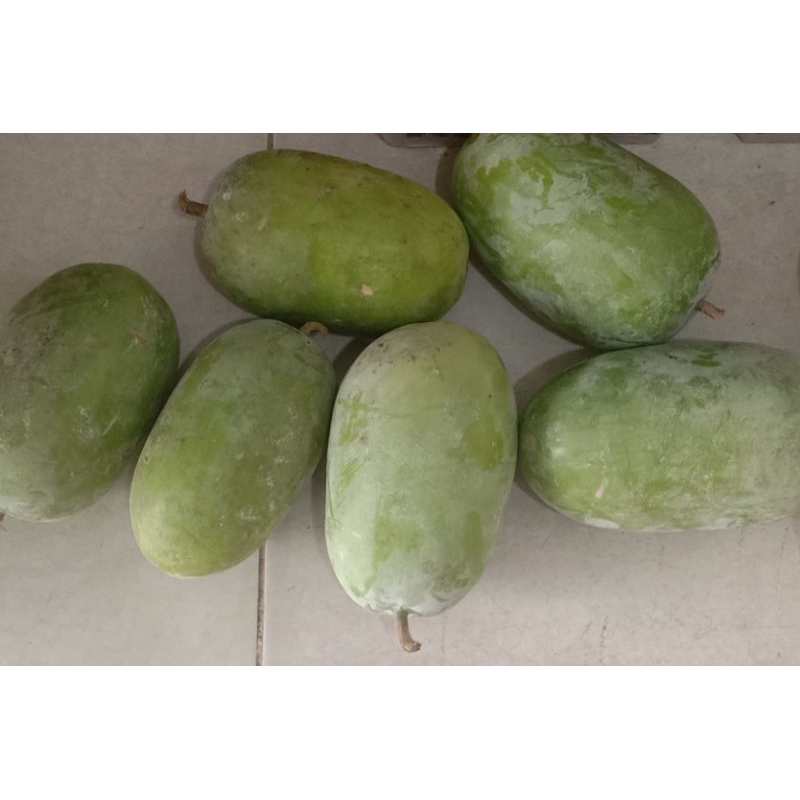 Jual Labu Kundur | Shopee Indonesia