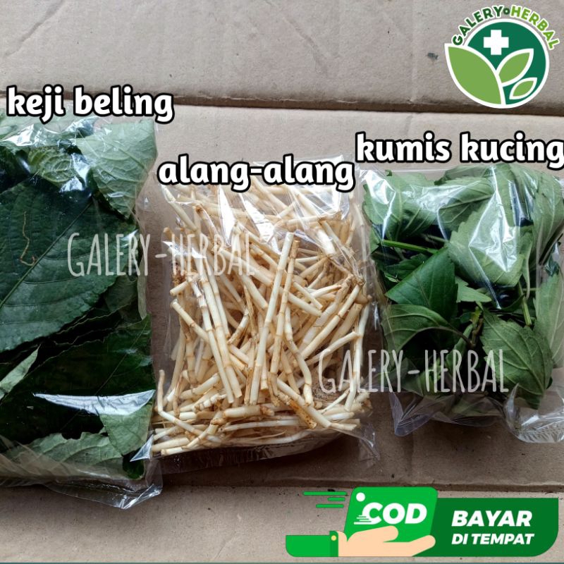 Jual Paket Komplit Akar Alang-alang, Kumis Kucing dan Keji Beling Fresh