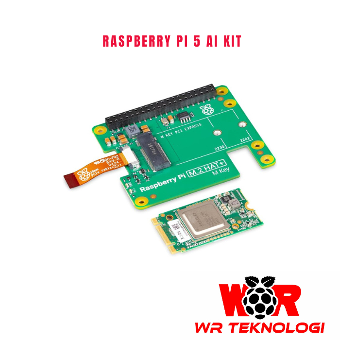 Jual Raspberry Pi Ai Kit for Raspberry Pi 5 | Shopee Indonesia