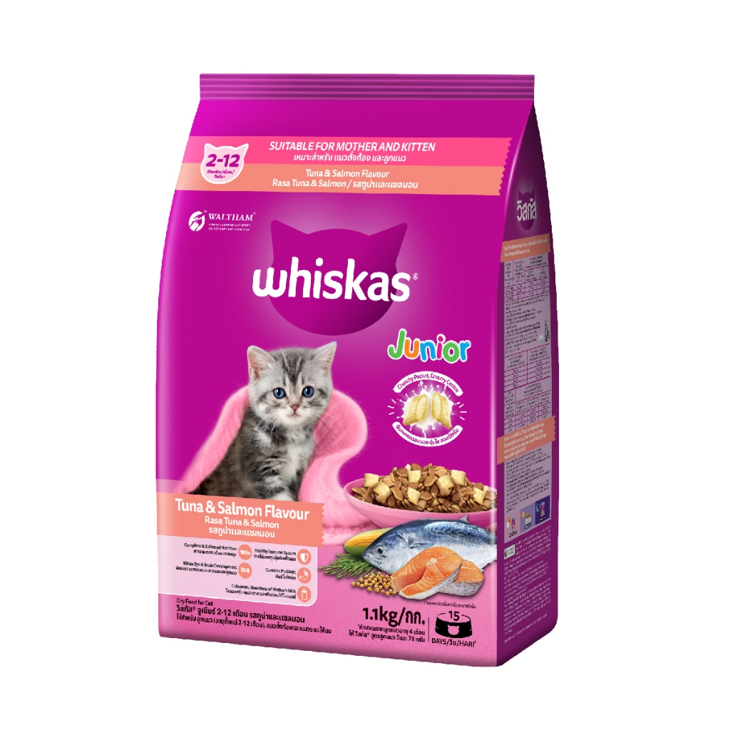 Jual Promo Makanan Kucing Whiskas Kitten Junior All Varian Cat Dry