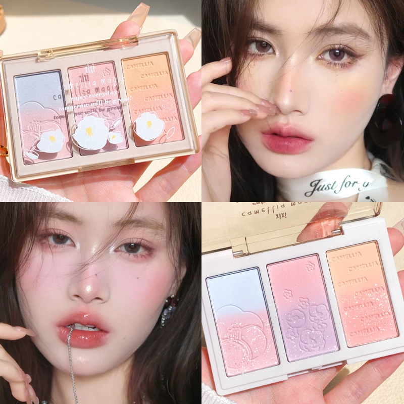 Jual Contouring Powder Palette Makeup Set Long Lasting Brilliant ...