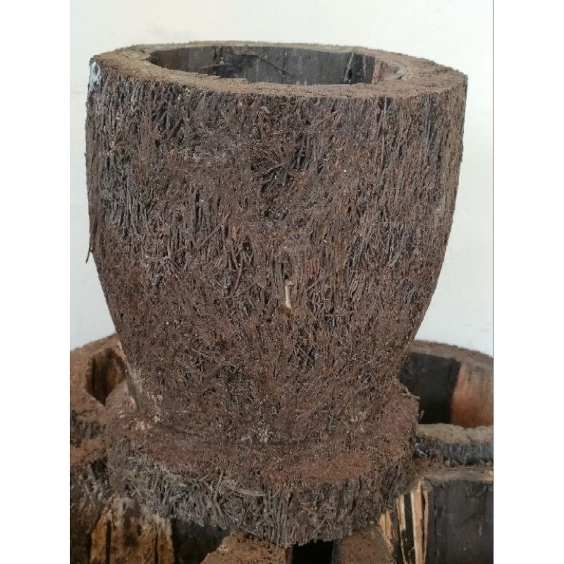 Jual Pot pakis media tanam anggrek ukuran L | Shopee Indonesia